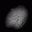 Asteroid Madness icon