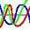 MB Biorhythm Compatibility