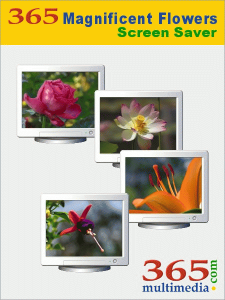 Download http://www.findsoft.net/Screenshots/365-Magnificent-Flowers-Screen-Saver-11350.gif