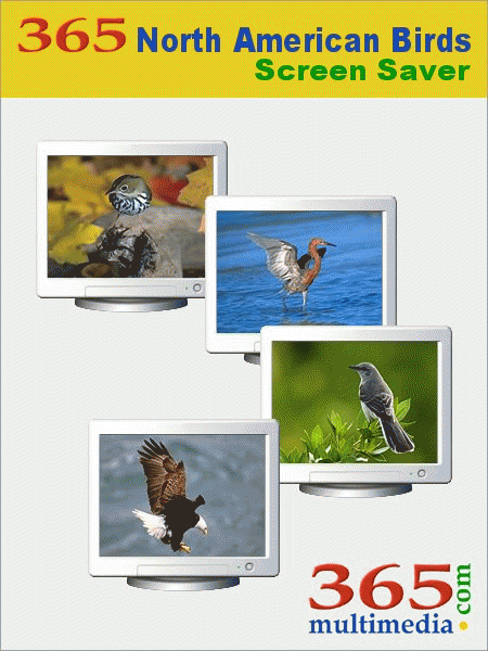 Download http://www.findsoft.net/Screenshots/365-North-American-Birds-Screen-Saver-1293.gif