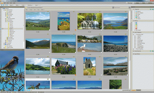 Download http://www.findsoft.net/Screenshots/ACDSee-Photo-Manager-12-33782.gif