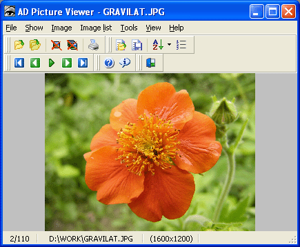 Download http://www.findsoft.net/Screenshots/AD-Picture-Viewer-16168.gif