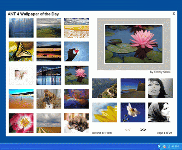 Download http://www.findsoft.net/Screenshots/ANT-4-Wallpaper-of-the-Day-2005.gif