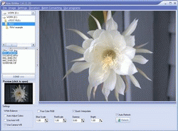 Download http://www.findsoft.net/Screenshots/Able-RAWer-1461.gif