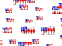 Download http://www.findsoft.net/Screenshots/American-Flag-Screen-Saver-1913.gif