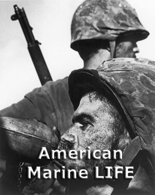 Download http://www.findsoft.net/Screenshots/American-Marine-LIFE-15885.gif