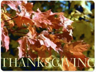 Download http://www.findsoft.net/Screenshots/Animated-Day-Of-Thanksgiving-Screensaver-1955.gif