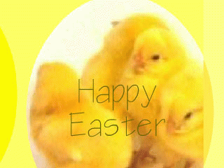 Download http://www.findsoft.net/Screenshots/Animated-Easter-Chickens-Screensaver-1959.gif