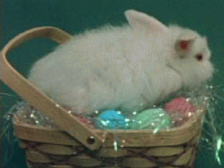 Download http://www.findsoft.net/Screenshots/Animated-Happy-Easter-Screensaver-1970.gif