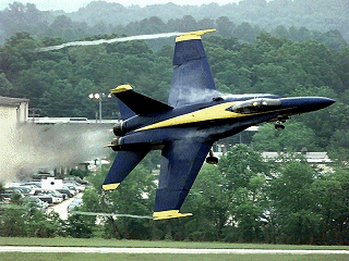 Download http://www.findsoft.net/Screenshots/Awesome-Navy-Aircraft-Screen-Saver-59518.gif