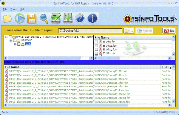 Download http://www.findsoft.net/Screenshots/BKF-Repair-54054.gif