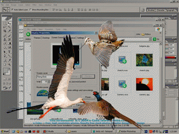 Download http://www.findsoft.net/Screenshots/Birds-2648.gif