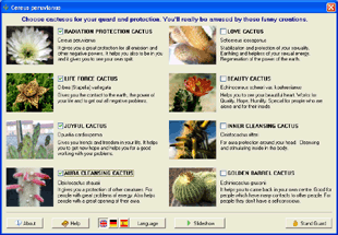 Download http://www.findsoft.net/Screenshots/Cactus-Emulator-72248.gif