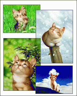 Download http://www.findsoft.net/Screenshots/Cartoon-Cats-Screensaver-1-2964.gif