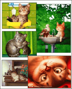 Download http://www.findsoft.net/Screenshots/Cartoon-Cats-Screensaver-2-2965.gif