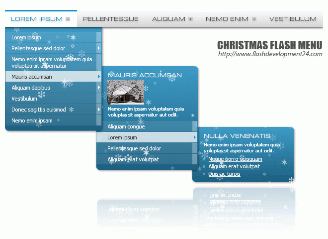 Download http://www.findsoft.net/Screenshots/Christmas-Flash-Menu-53550.gif