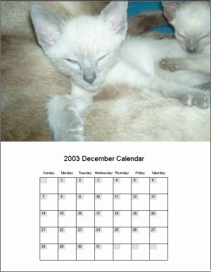 Download http://www.findsoft.net/Screenshots/Custom-Calendars-58093.gif