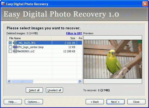 Download http://www.findsoft.net/Screenshots/Easy-Digital-Photo-Recovery-16984.gif