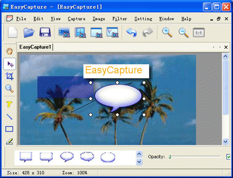 Download http://www.findsoft.net/Screenshots/EasyCapture-14708.gif