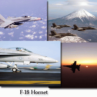 Download http://www.findsoft.net/Screenshots/F-18-Hornet-Screen-Saver-64734.gif