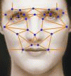 Download http://www.findsoft.net/Screenshots/Face-Recognition-ActiveX-DLL-22722.gif