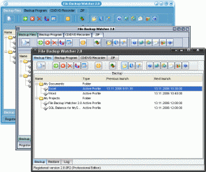 Download http://www.findsoft.net/Screenshots/File-Backup-Watcher-Professional-16947.gif