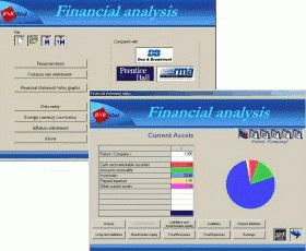 Download http://www.findsoft.net/Screenshots/Financial-Analysis-standard-20041.gif
