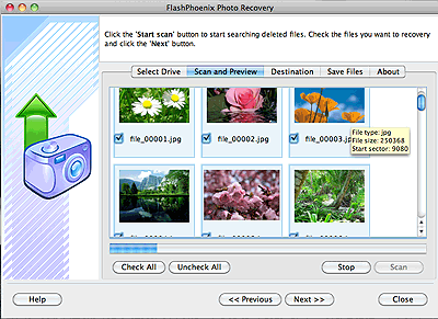 Download http://www.findsoft.net/Screenshots/FlashPhoenix-Photo-Recovery-for-Mac-32331.gif