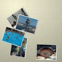 Download http://www.findsoft.net/Screenshots/Floating-Picture-Viewer-48892.gif