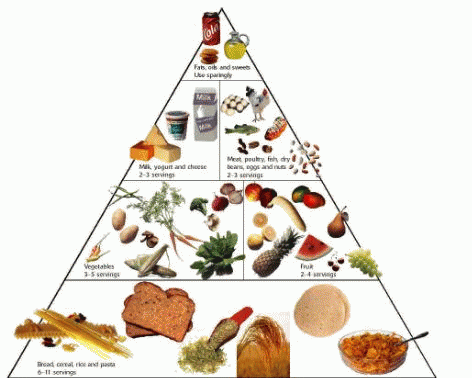 Download http://www.findsoft.net/Screenshots/Food-Pyramid-Animated-Diete-Screen-Saver-60110.gif