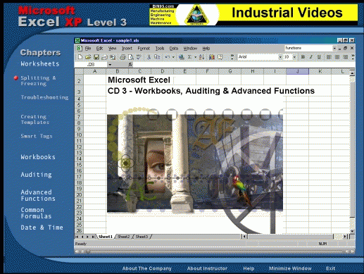 Download http://www.findsoft.net/Screenshots/Free-MS-Excel-Training-Level-3-65976.gif