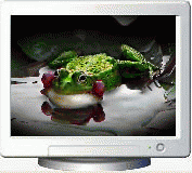 Download http://www.findsoft.net/Screenshots/Froggy-Frogs-Screen-Saver-26022.gif