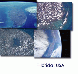 Download http://www.findsoft.net/Screenshots/From-Space-to-Earth-Florida-65068.gif