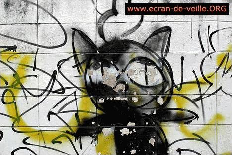 Download http://www.findsoft.net/Screenshots/Graffiti-Screensaver-EV-5479.gif