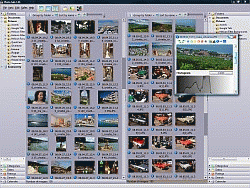 Download http://www.findsoft.net/Screenshots/Helicon-Photo-Safe-15001.gif