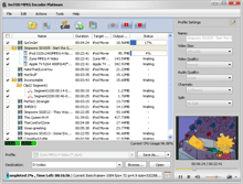 Download http://www.findsoft.net/Screenshots/ImTOO-MPEG-Encoder-Platinum-17121.gif