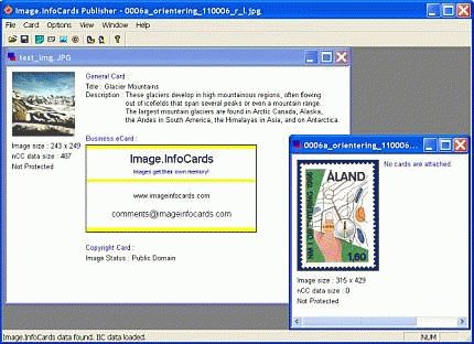 Download http://www.findsoft.net/Screenshots/Image-InfoCards-Publisher-Personal-Ed-5907.gif