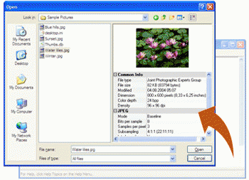 Download http://www.findsoft.net/Screenshots/Image-Open-Save-Dialog-5900.gif