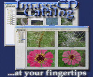Download http://www.findsoft.net/Screenshots/ImageCD-Catalog-17095.gif