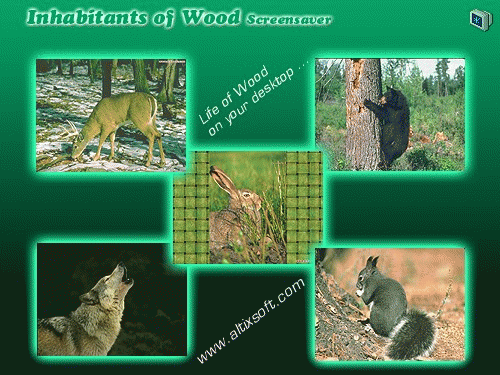 Download http://www.findsoft.net/Screenshots/Inhabitants-of-Wood-Screensaver-5986.gif