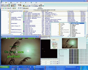 Download http://www.findsoft.net/Screenshots/KaraWin-Pro-6337.gif