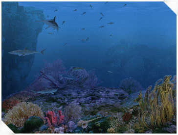 Download http://www.findsoft.net/Screenshots/Living-3D-Sharks-6615.gif