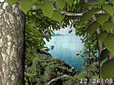 Download http://www.findsoft.net/Screenshots/Living-Forest-3D-Screensaver-20026.gif