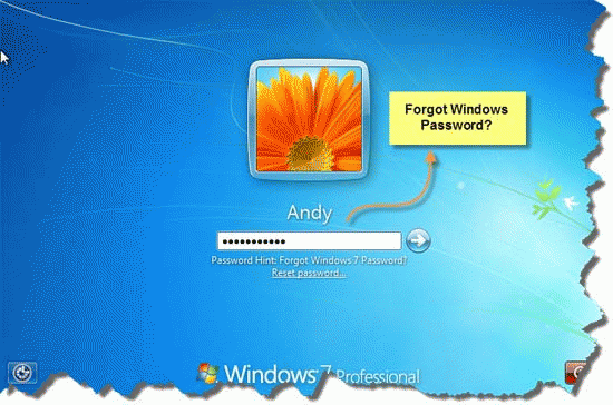 Download http://www.findsoft.net/Screenshots/Lost-Windows-Password-74965.gif