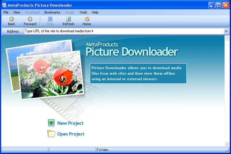 Download http://www.findsoft.net/Screenshots/MetaProducts-Picture-Downloader-65263.gif