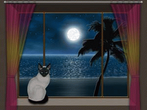 Download http://www.findsoft.net/Screenshots/Moon-Cat-Screensaver-34605.gif