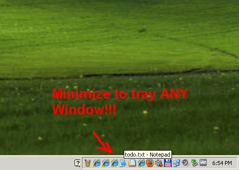 Download http://www.findsoft.net/Screenshots/Move-to-Tray-Any-Window-Software-77153.gif