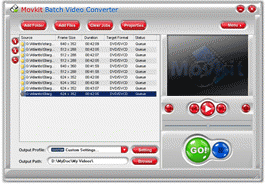 Download http://www.findsoft.net/Screenshots/Movkit-Batch-Video-Converter-17312.gif