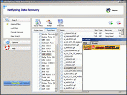 Download http://www.findsoft.net/Screenshots/Netspring-Data-Recovery-12497.gif