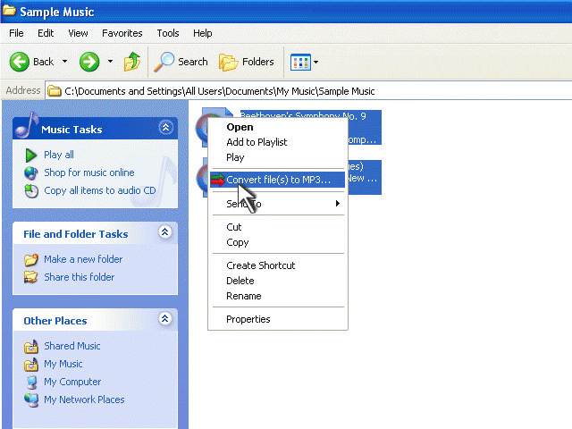 Download http://www.findsoft.net/Screenshots/One-click-FLAC-to-MP3-Converter-28117.gif